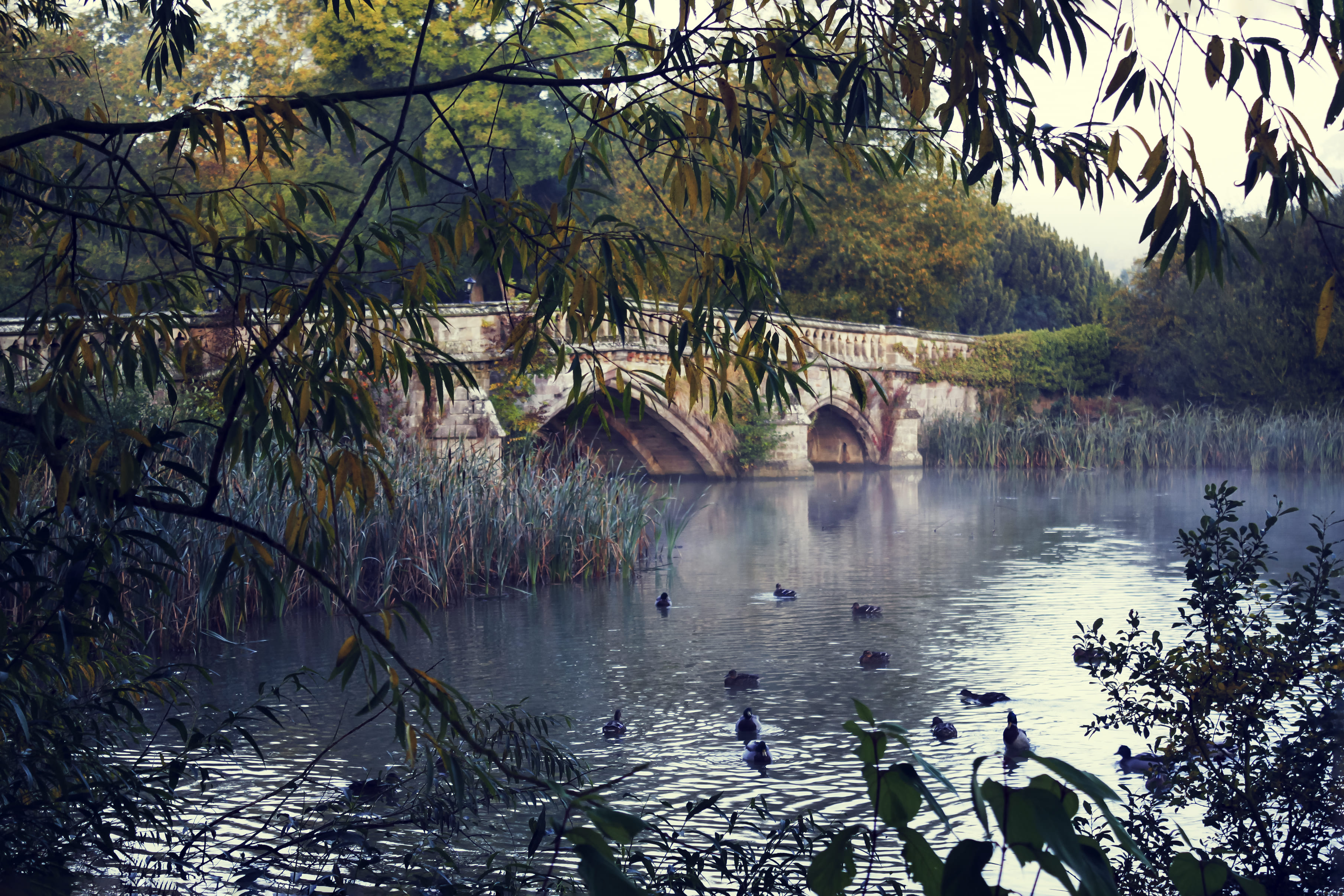 Lakeside View at Walton Hall Hotel